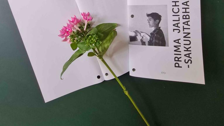 The Invisible Archive issue with a flower