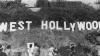 eztv-west-hollywood-sign.jpg